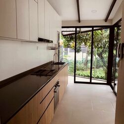 Normanton Park (D5), Terrace #497347941